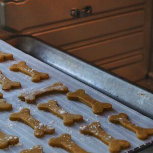 Biscoito Natural para Cães Sabor Maçã e Aveia